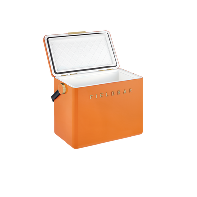 Gin Trunk / Orchard Orange