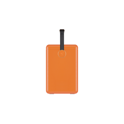 Gin Trunk / Orchard Orange
