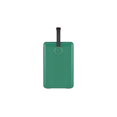 Gin Trunk / Parisian Green