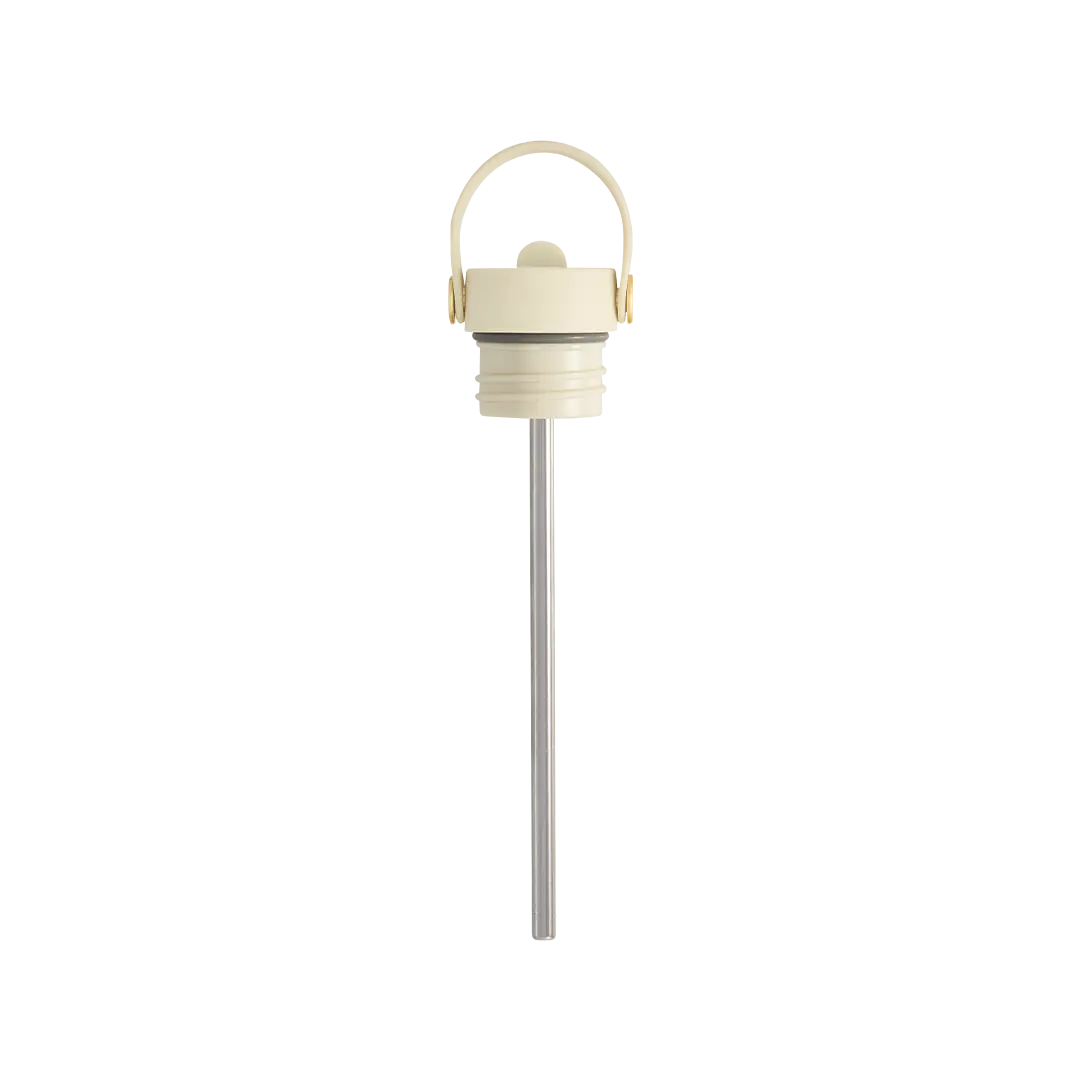 Sip Lid & Metal Straw